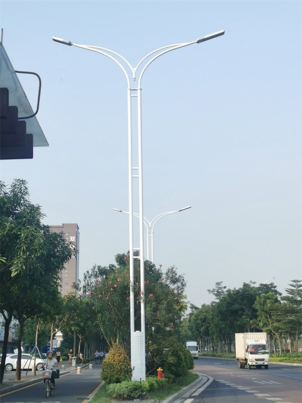 双臂路灯灯杆